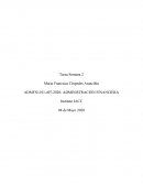 Semana 2 ad. financiera