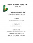 Proceso de consultoria