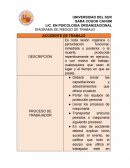 DIAGRAMA DE RIESGO DE TRABAJO