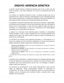 ENSAYO SOBRE LA GENÉTICA Y ENFERMEDADES PRESENTES