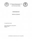 Químico Bacteriólogo Parasitólogo BIOLOGIA MOLECULAR