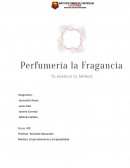 Plan de negocio sobre una empresa X