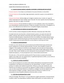 MARKETING ESTRATÉGICO-CIRCO DEL SOL