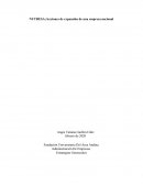 Estrategia Grupo Nutresa S.A