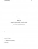 El Derecho Penal y su relación con otras ramas del Derecho