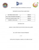 CARACTERÍSTICAS DE ESTRUCTURAS ACELULARES