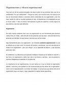 Organizaciones y eficacia organizacional