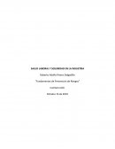 SALUD LABORAL Y SEGURIDAD EN LA INDUSTRIA