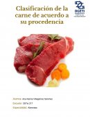 Clasificación de acuerdo a su procedencia