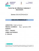 Guía de Educación Básica