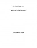 RESPONSABILIDAD DISCIPLINARIA DERECHO PUBLICO – CONSULTORIO JURIDICO