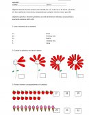 Prueba de matemática 1er año básico