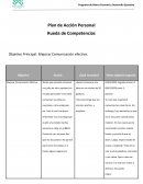 Plan de Acción Personal . Rueda de Competencias