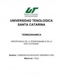 IMPORTACNIA DE LA TERMODINAMICA EN LA VIDA COTIDIANA