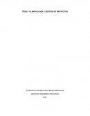 PLANIFICACION Y GESTION DE PROYECTOS corporación ACORN