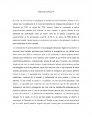 Informe Covid-19