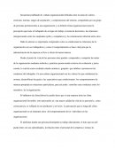 Organizaciones y la cultura organizacional