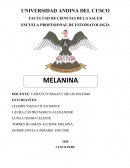 MELANINA