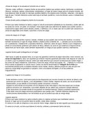 Sismos, zonas de riesgo