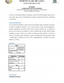 INFORME ELABORACIÓN DE NECTAR DE MANZANA