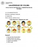 CASO PRACTICO “VIÑEDOS DEL SUR”