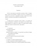 Desarrollo y evolución del lenguaje