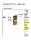 Actividad de dermotricología. Alteraciones estéticas del C.C y cabello: seborrea y pitiriasis