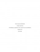 Termodinámica: temperatura, calor y primera ley de la termodinámica