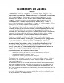 Metabolismo de lipidos
