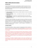 Estratégica, análisis externo de la empresa