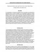 SEPARACIÓN DE AMINOÁCIDOS POR CROMATOGRAFÍA