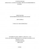 PLANIFICAR Y DECIDIR – PROPUESTA DE EMPRENDIMIENTO SOLIDARIO