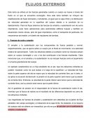 FLUJOS EXTERNOS