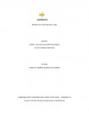 Formulación (Estudio de caso)