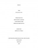 Ensayo Sobre la Película El Hijo