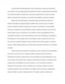 La mirada. Psicología de la conducta