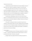 Trastornos de la expresión escrita