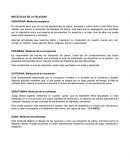 MOLECULAS DE LA FELICIDAD