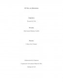 Mi Vida y sus Dimensiones