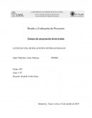 Ensayo de un proyecto de inversión
