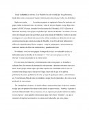 Informes - comuna 13 Medellin