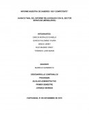 AVANCE FINAL DEL INFORME RELACIONADO CON EL SECTOR SERVICIOS (MENSAJERÍA)