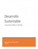 Desarrollo sustentable. Tipos de Desarrollo
