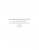 Etapas de la implementación de un sistema de gestión preventiva. Administracion de la prevencion de riesgos