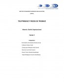 Teletrabajo y redes de trabajo