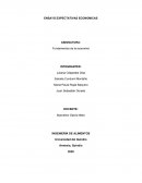 ENSAYO EXPECTATIVAS ECONOMICAS