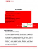 PLAN DE MARKETING Evolución y visión de futuro Elephant