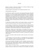 Ensayo Analítico Sobre Cómo Influye La Publicidad En El Cerebro