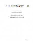 PLAN ESTRATEGICO DE NEGOCIACIÓN