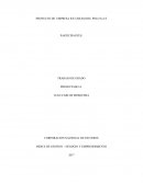 PROYECTO DE EMPRESA ICE CREAM DEL POLO S.A.S